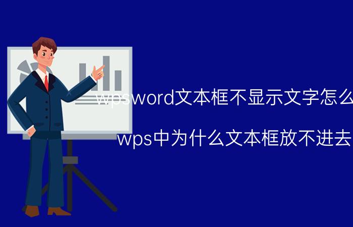 wpsword文本框不显示文字怎么办 wps中为什么文本框放不进去？